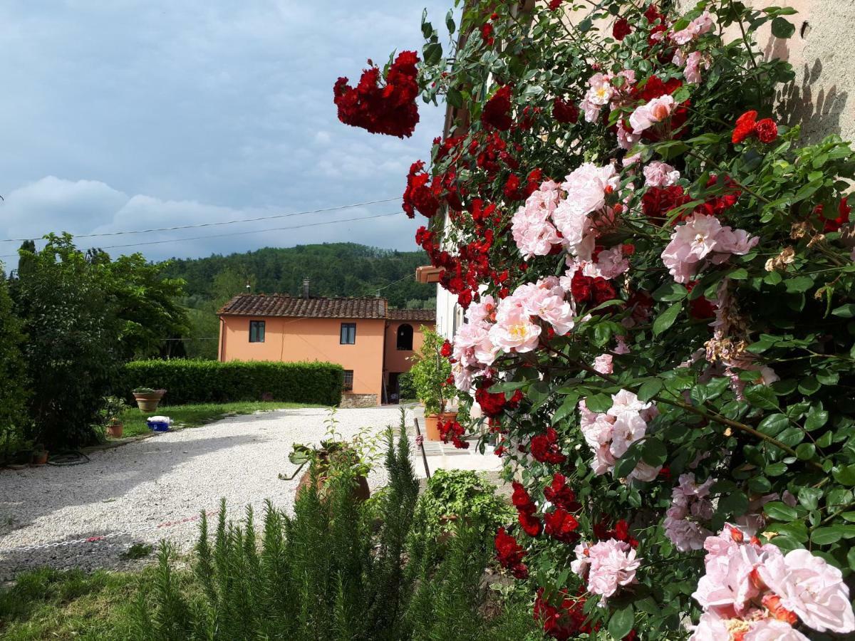 Casa "Il Brio" Villa Pistoia Exterior photo